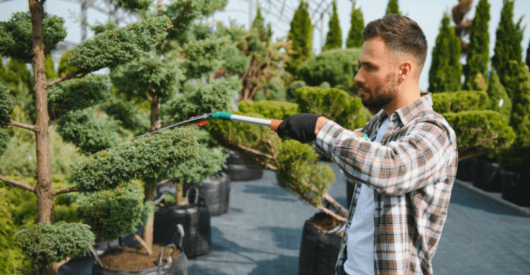 Sustainable Gardening Practices embracing methods blog