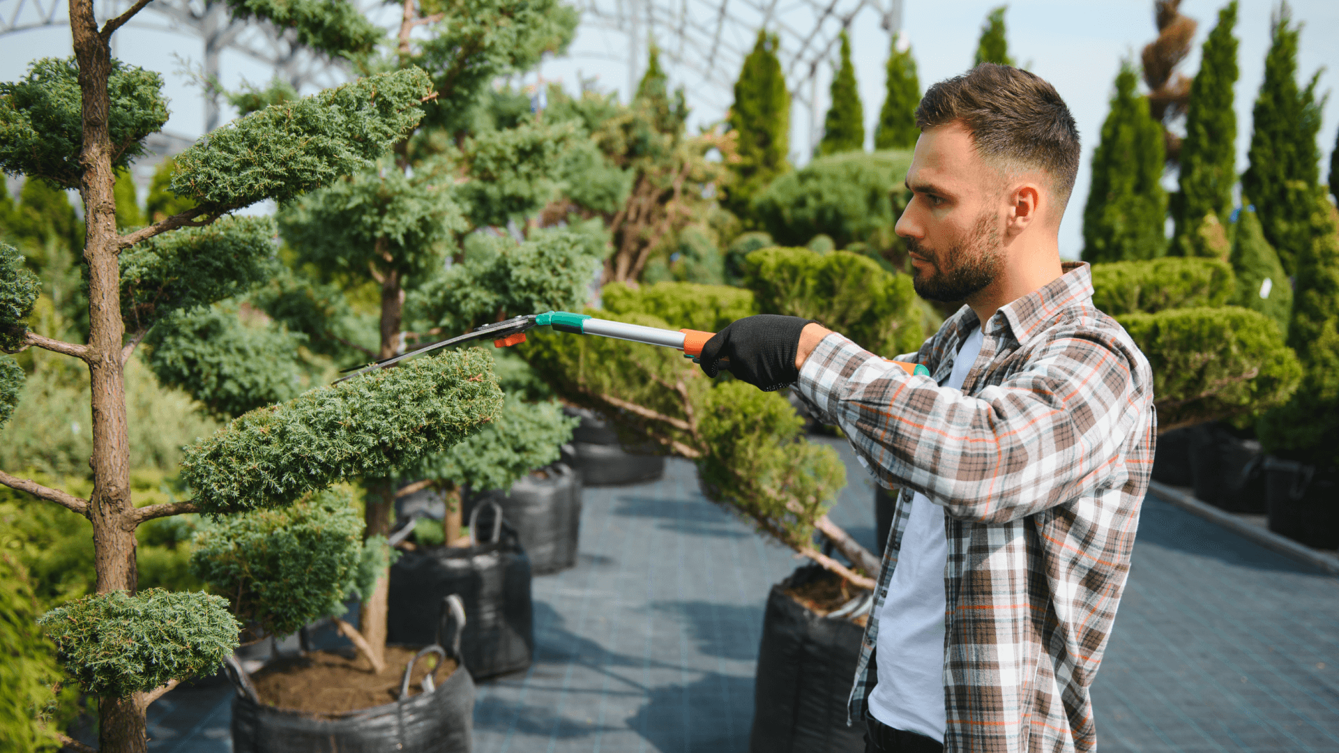 Sustainable Gardening Practices embracing methods blog