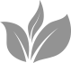 testimonials-leaf-1