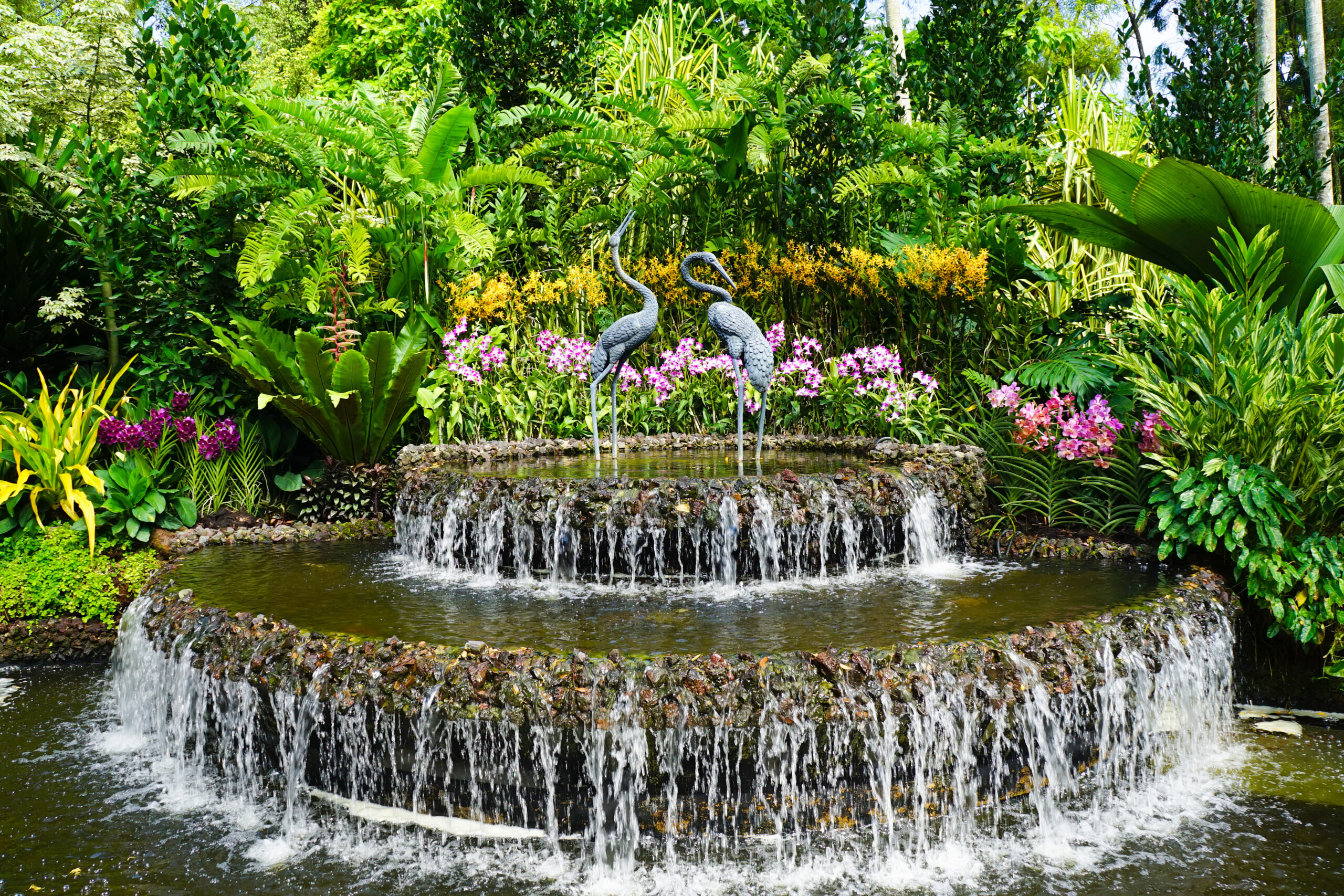 A closeup shot of  a fountain in Botanic Gardens of Singapore
